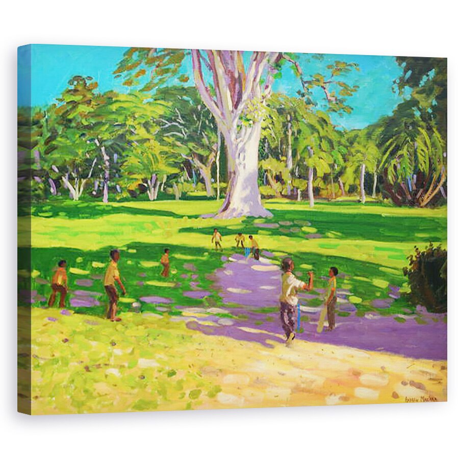 Tablou canvas - Andrew Macara - Meci de cricket, 60 x 75 cm