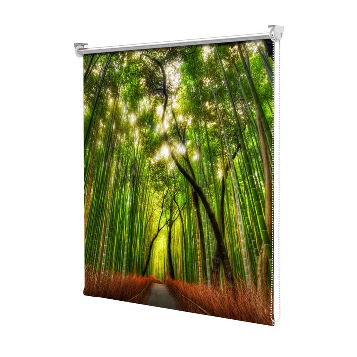 Rolete Art Shade tip Jaluzele cu Rulou si sistem inclus, Padure de bambus, Decoratiuni, Latime 75 cm x Inaltime 250 cm
