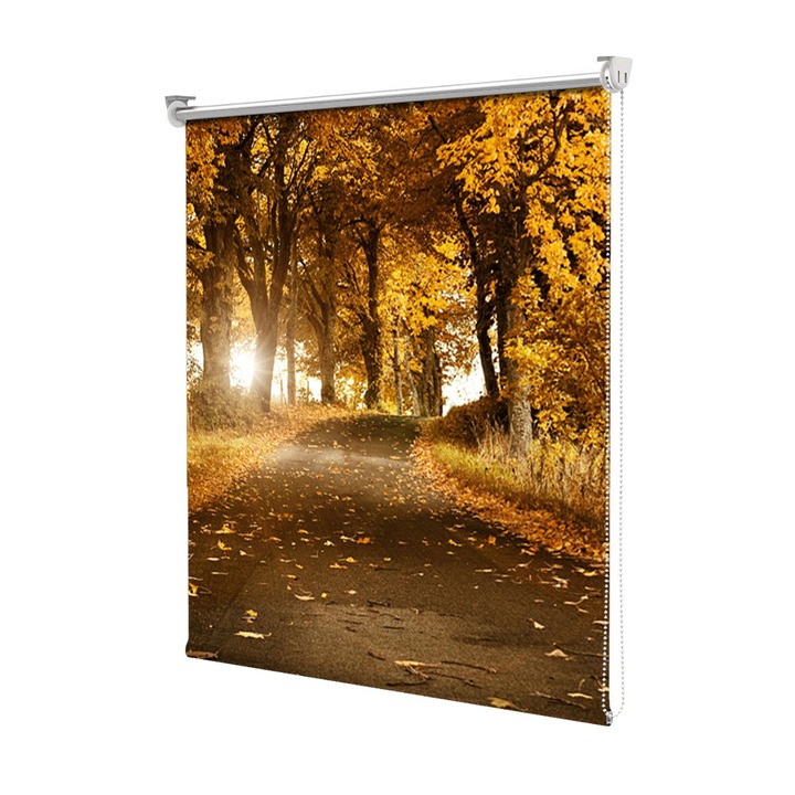 Rolete Art Shade tip Jaluzele cu Rulou si sistem inclus, Drum de toamna, Decoratiuni, Latime 160 cm x Inaltime 190 cm