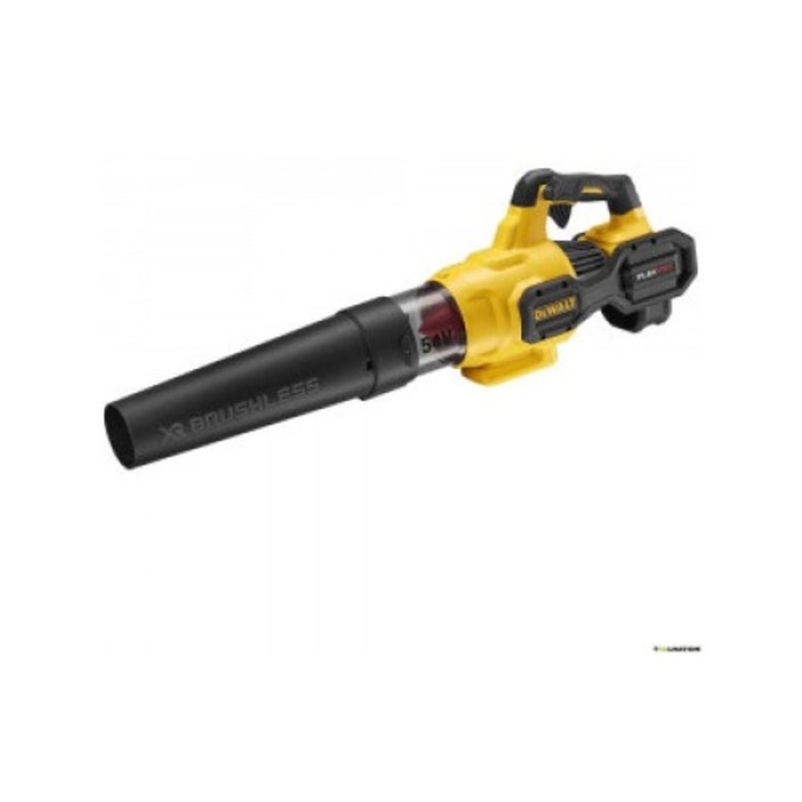 Suflanta XR DCMBA572N-XJ - bladblaser