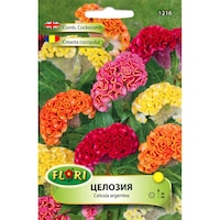 Seminte de creasta cocosului cristala nana mix, Florian, 0.2 grame