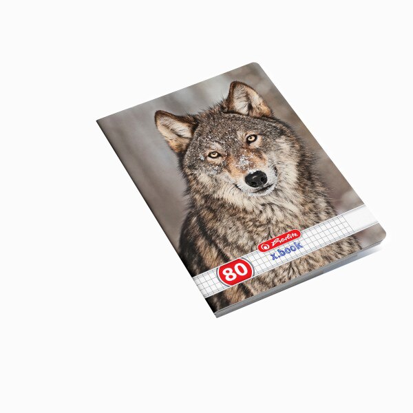 Set 5 Caiete A4, Herlitz Animals, Matematica, 80 File