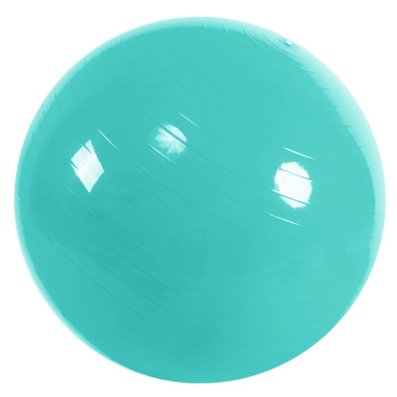 Minge pentru antrenament, albastru, 65 cm