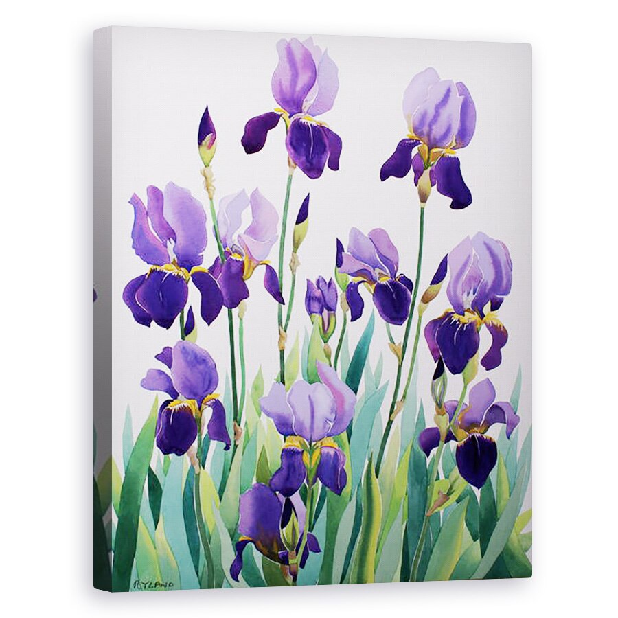 Tablou canvas - Christopher Ryland - Irisuri mov, 60 x 75 cm