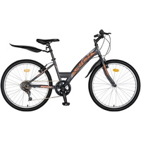 bicicleta trekking 24quot rich r2430a 6 viteze culoare alb matalbastru imagen 28_0_
0