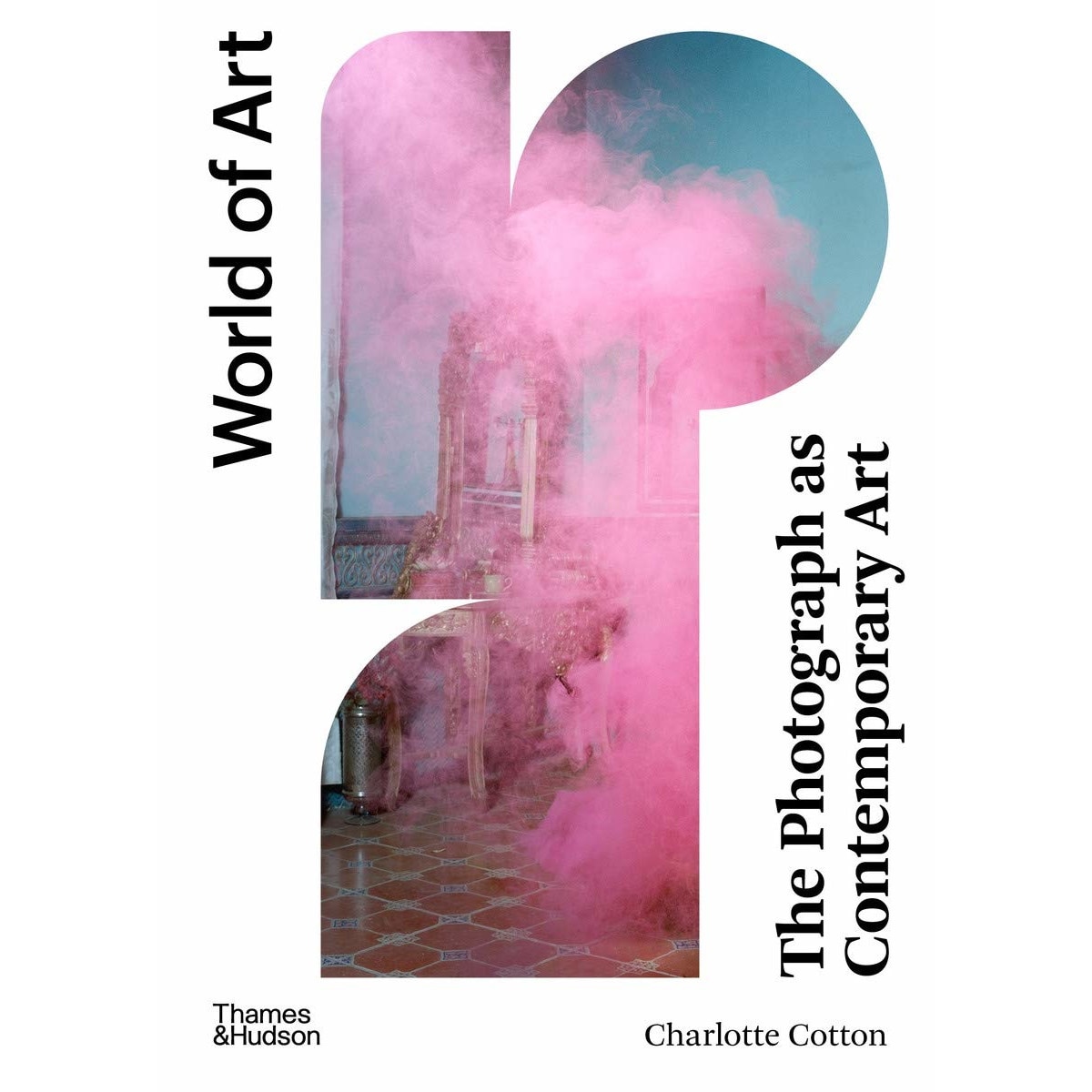 The Photograph as Contemporary Art - Charlotte Cotton