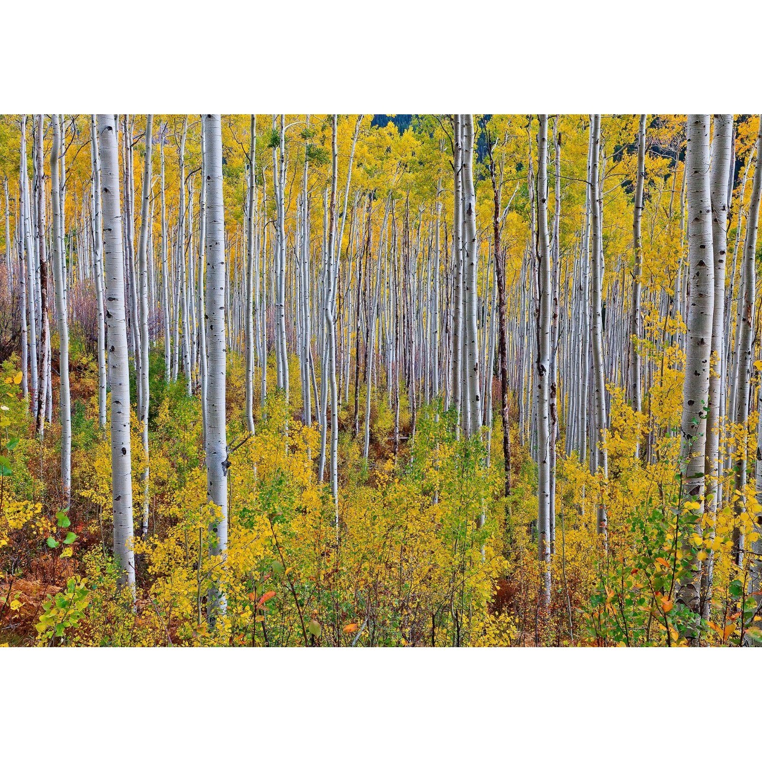 Fototapet Startonight Tema galbena, luminos in intuneric, 1.83 x 1.28 m