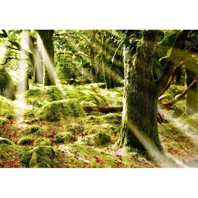 Fototapet Startonight Lumina in camera mea, luminos in intuneric, 1.83 x 1.28 m