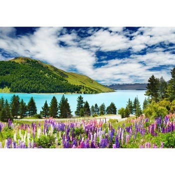 Fototapet Startonight Covor de flori spre lac, luminos in intuneric, 3.66 x 2.56 m Fototapet Startonight Covor de flori spre lac, luminos in intuneric, 3.66 x 2.56 m