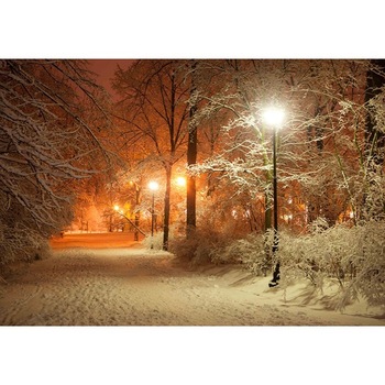 Fototapet Startonight Iarna in parc, luminos in intuneric, 1.83 x 1.28 m Fototapet Startonight Iarna in parc, luminos in intuneric, 1.83 x 1.28 m