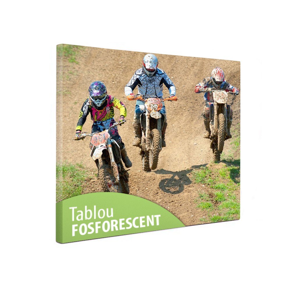 Tablou fosforescent Motociclism, 30x30 cm