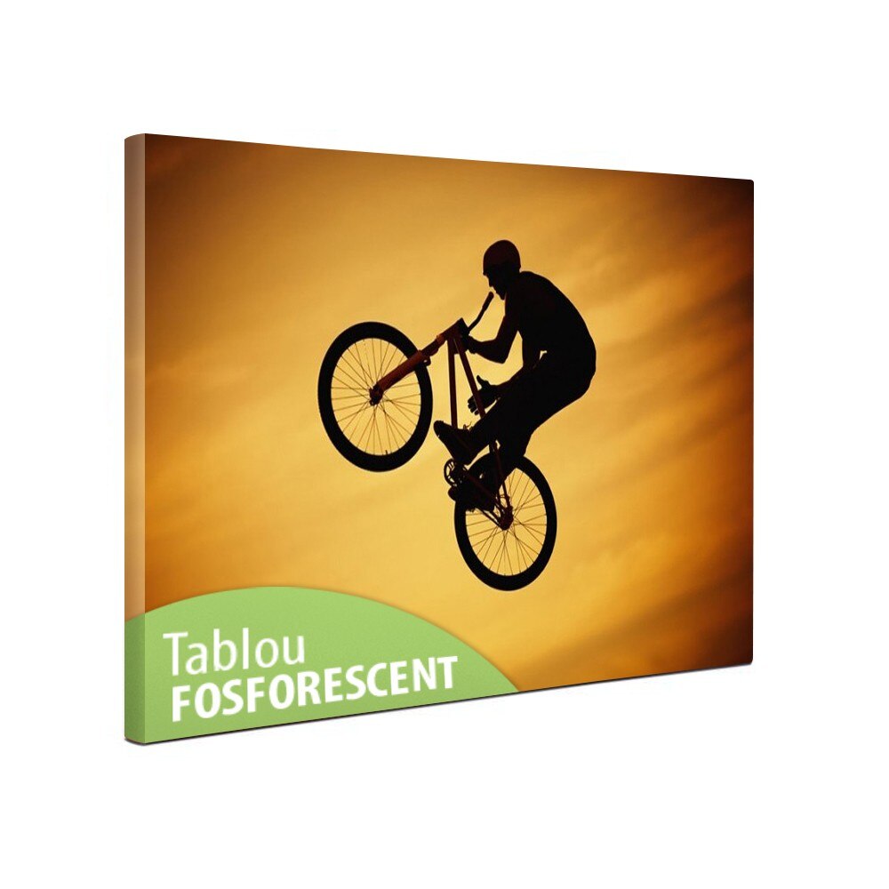 Tablou fosforescent Airbike, 60x40 cm