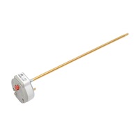 termostat universal cu protectie pentru boiler 10-80 grade imagen 35_0_
0