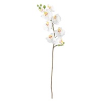 floare artificiala ornamentala fir de orhidee alba lungime 60 cm imagen 14_0_
0