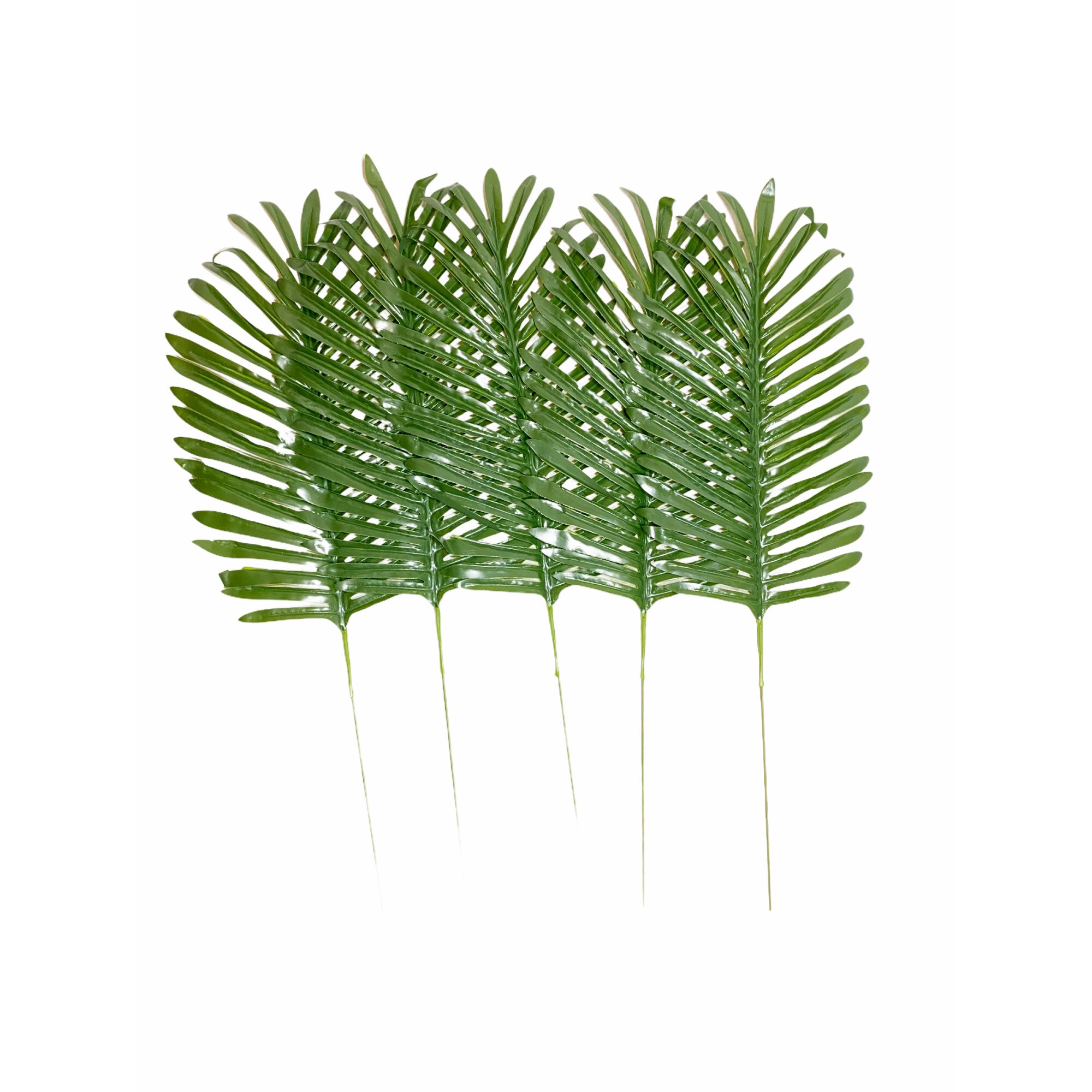 Set 5 frunze palmier decorative, Atelier, Verde, 60x20cm