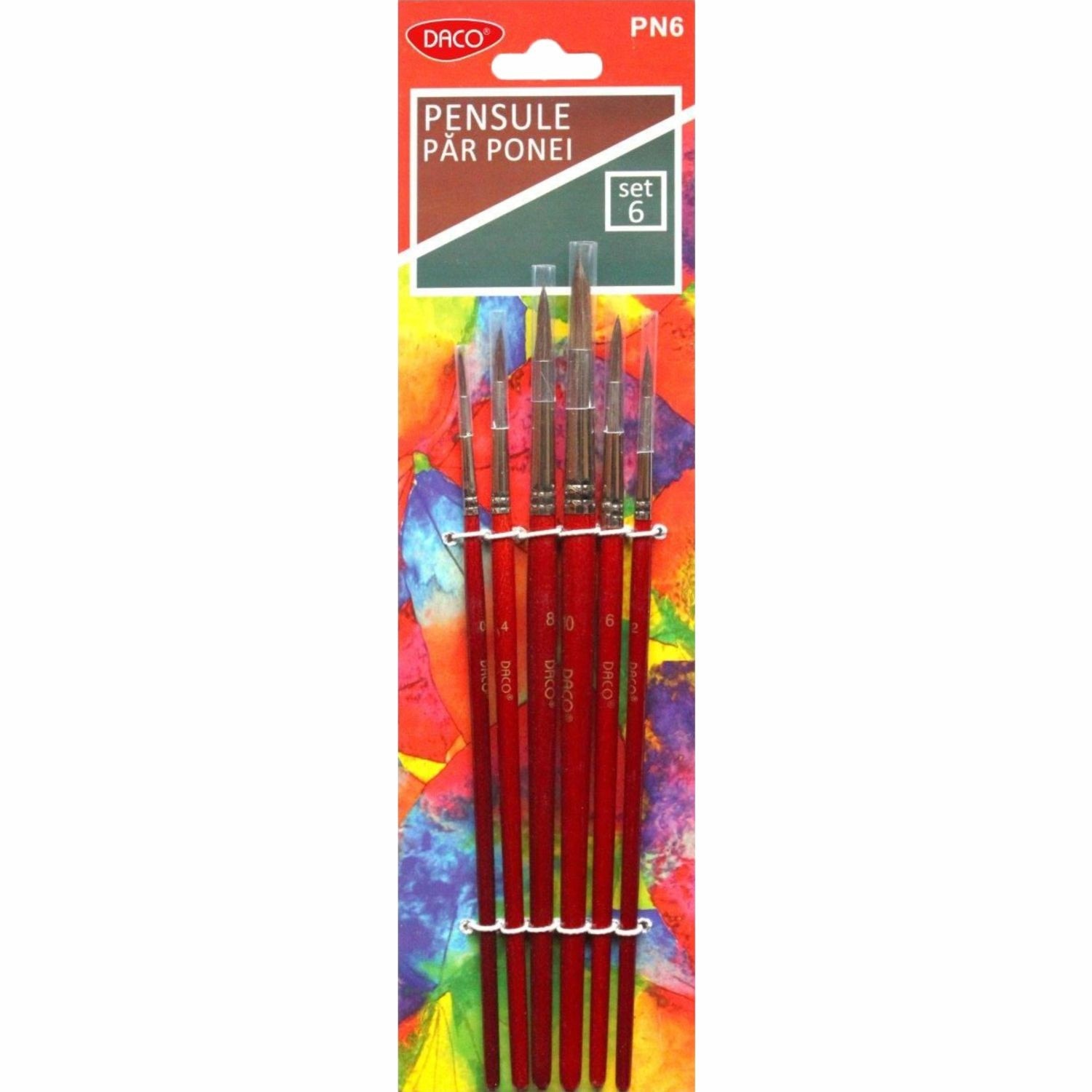 Set 6 Pensule par ponei DACO PN6