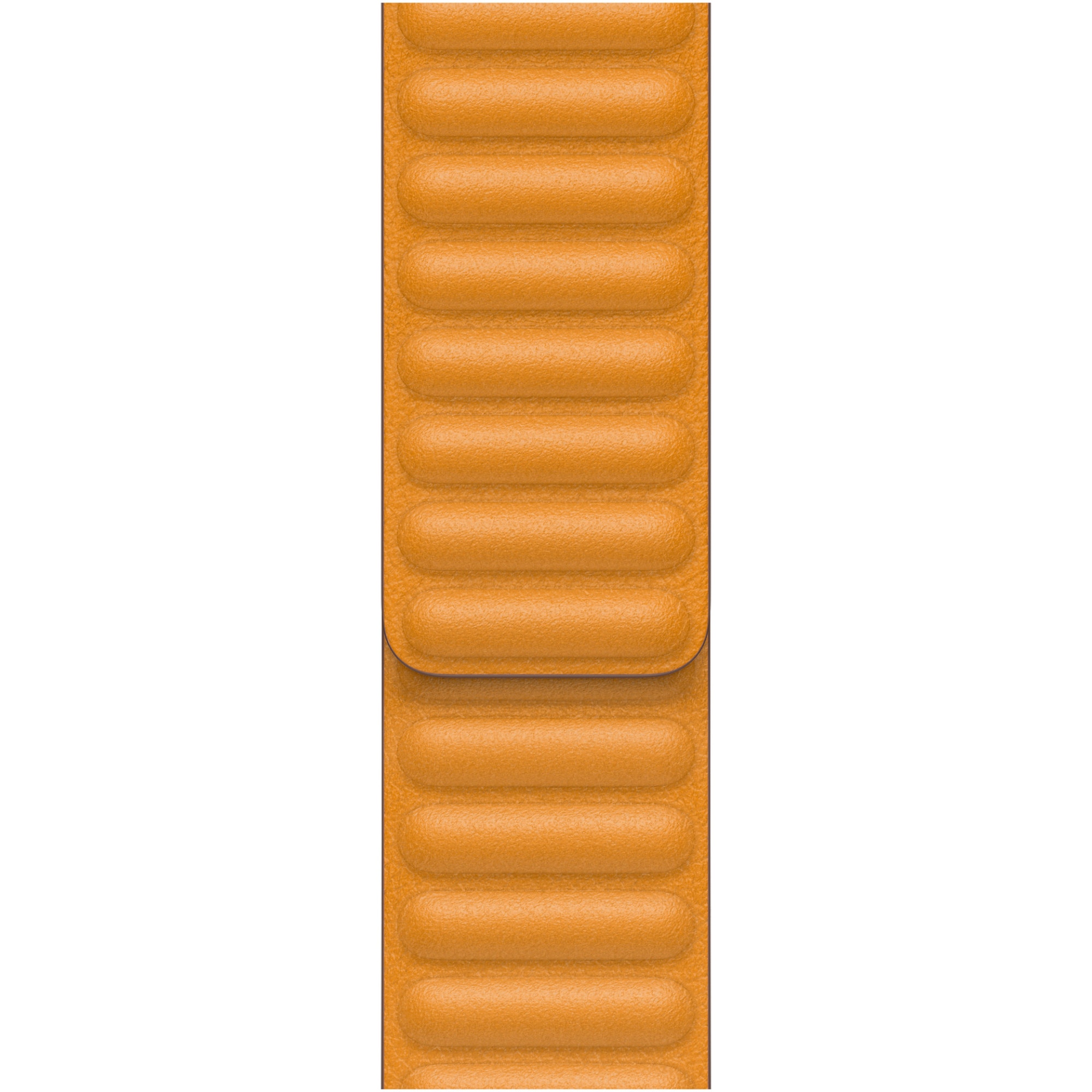 Curea pentru Apple Watch 40mm, California Poppy Leather Link, Large