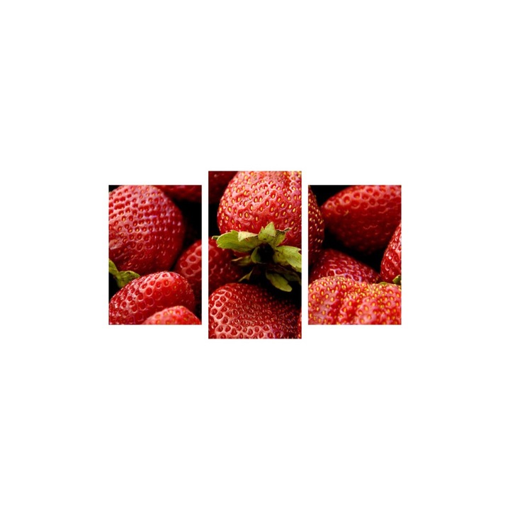 Tablou multicanvas 3 piese 150x90 cm, Food and Drinks model 28