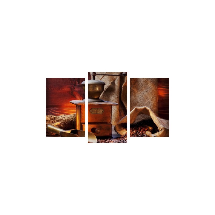 Tablou multicanvas 3 piese 150x90 cm, Food and Drinks model 89