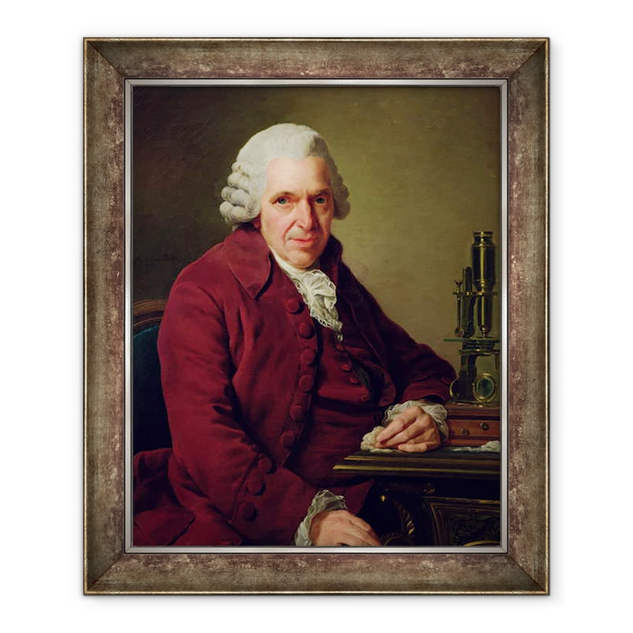 Tablou inramat - Alexander Roslin - Portrait of Louis Jean Marie Daubenton 1716-1800 1791, 90 x 110 cm