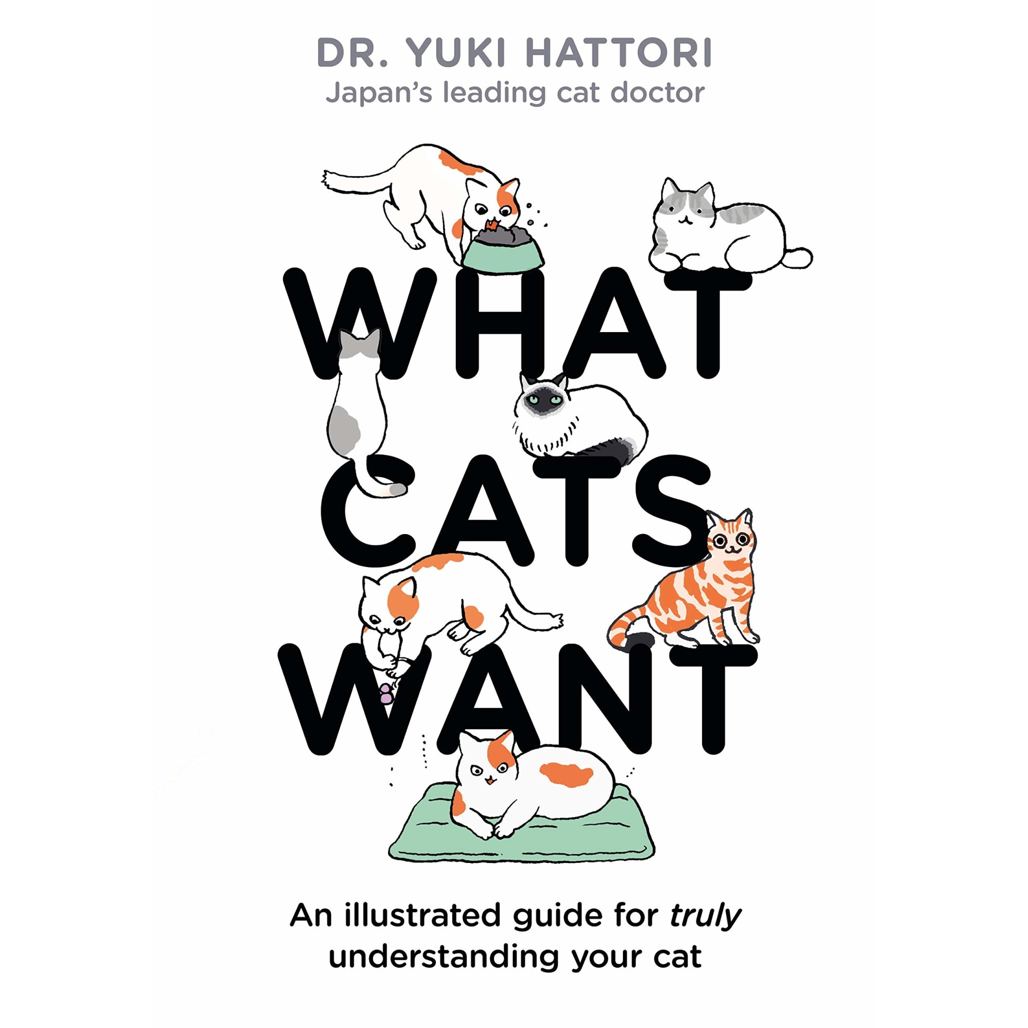 What Cats Want - Yuki Hattori