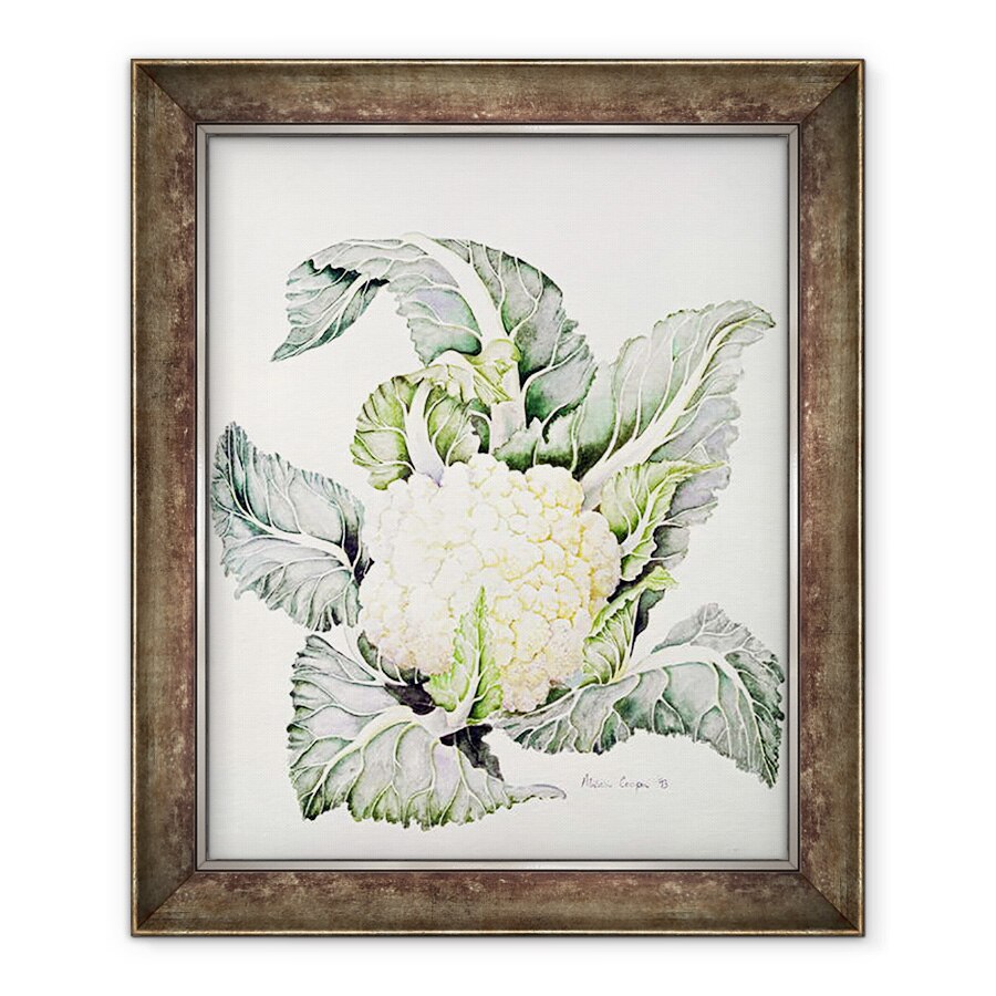 Tablou inramat - Alison Cooper - Studiu privind conopida, 50 x 60 cm