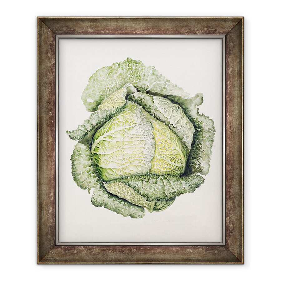 Tablou inramat - Alison Cooper - Varza Savoy, 90 x 110 cm