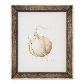 Tablou inramat - Alison Cooper - Studiu ceapa, 90 x 110 cm Tablou inramat - Alison Cooper - Studiu ceapa, 90 x 110 cm