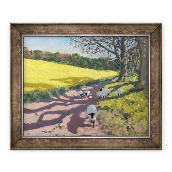 Tablou inramat - Andrew Macara - Oi si camp galben, Radbourne, Derby, 2017, 50 x 60 cm Tablou inramat - Andrew Macara - Oi si camp galben, Radbourne, Derby, 2017, 50 x 60 cm