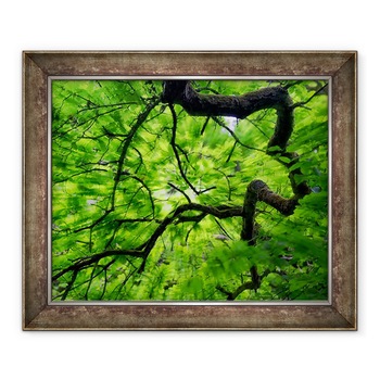 Tablou inramat - Ant Smith - Ramura de copac in baldachin, 90 x 110 cm Tablou inramat - Ant Smith - Ramura de copac in baldachin, 90 x 110 cm