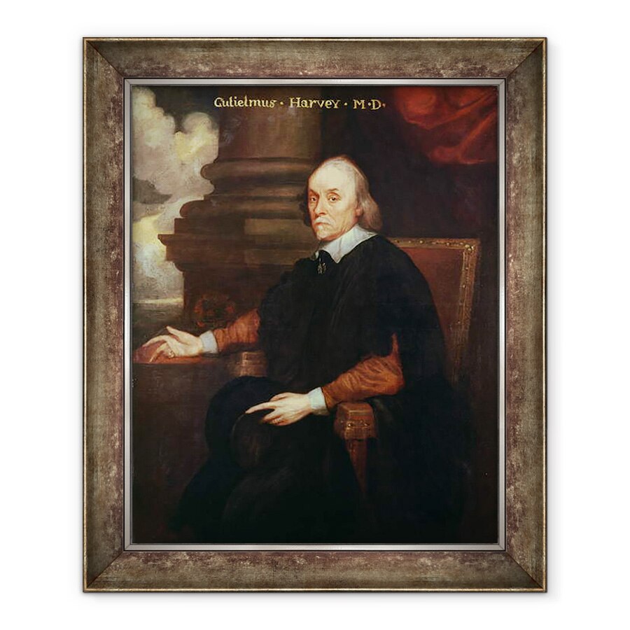 Tablou inramat - Anonymous - William Harvey 1578-1657 Medic regal, 90 x 110 cm