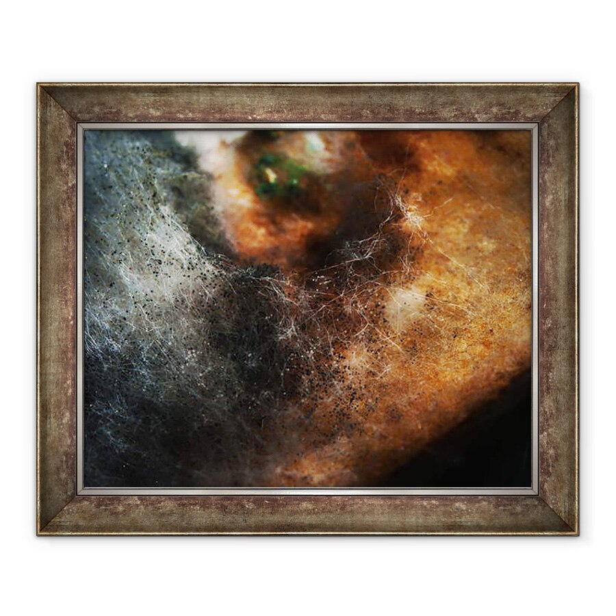 Tablou inramat - Ant Smith - Alte lumi nr. 5 - Modele in alimentatia veche, 2014, 90 x 110 cm