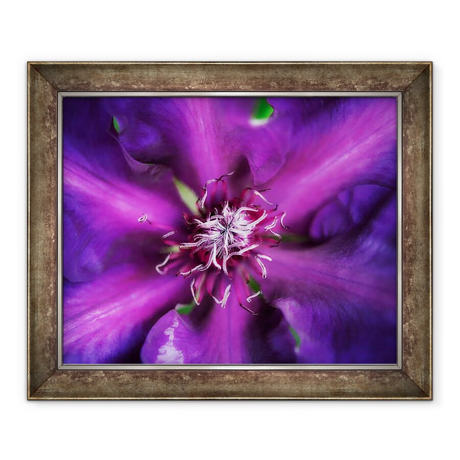 Tablou inramat - Ant Smith - Dalie Violet, 2020, 90 x 110 cm