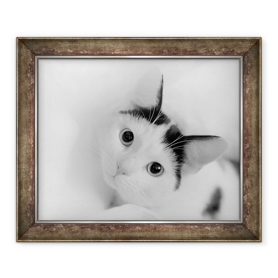 Tablou inramat - Ant Smith - Pisoi in tesut, 2020, 90 x 110 cm