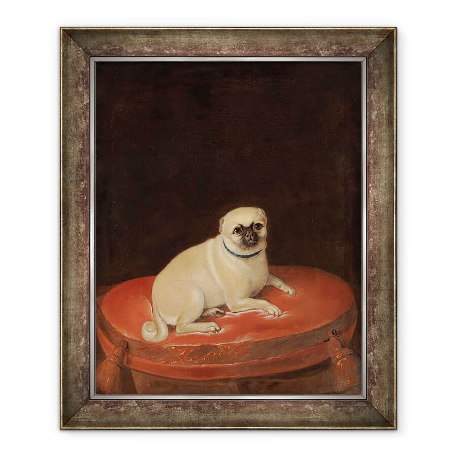 Tablou inramat - Anonymous - Pug, 90 x 110 cm