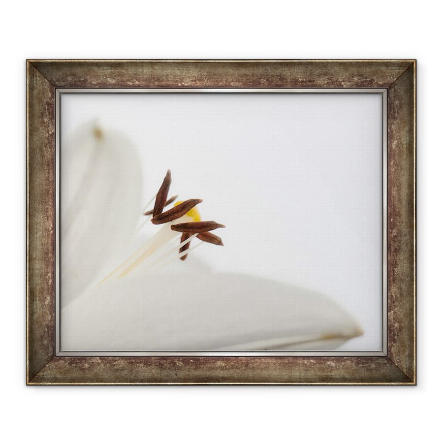 Tablou inramat - Ant Smith - Delicat floare alba, 2020, 90 x 110 cm