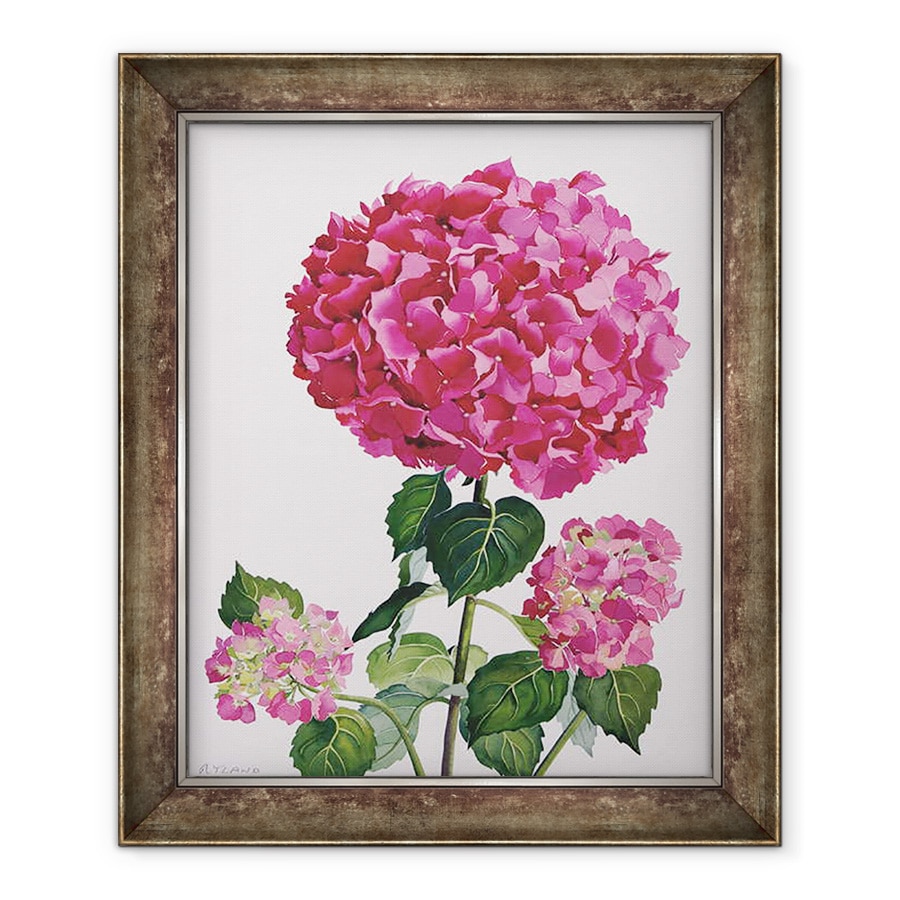 Tablou inramat - Christopher Ryland - Hydrangea, 50 x 60 cm