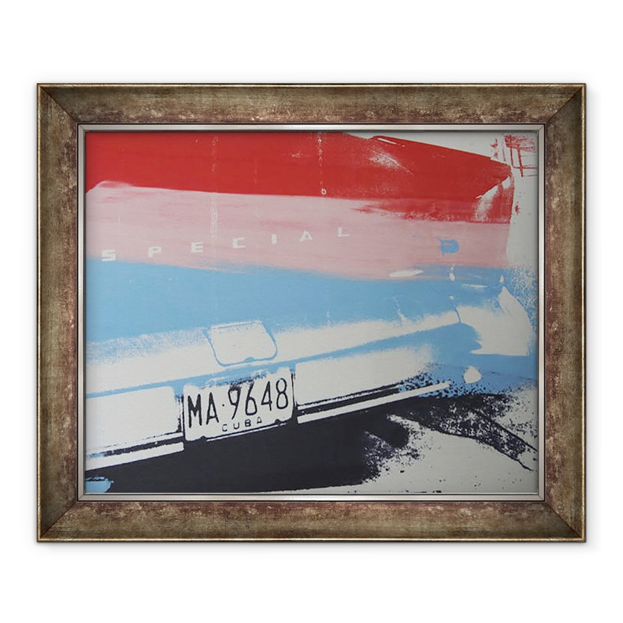 Tablou inramat - David Studwell - Aripa multicolor, 50 x 60 cm
