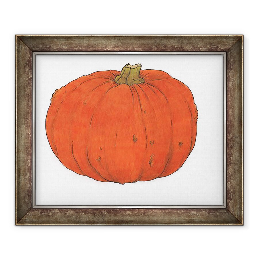 Tablou inramat - Faisal Khouja - Studiu dovleac, 2013, 50 x 60 cm