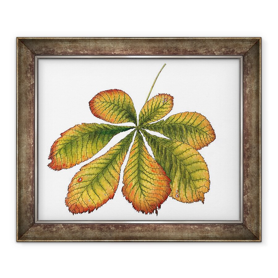 Tablou inramat - Faisal Khouja - Cal frunze de castan, 2013, 50 x 60 cm