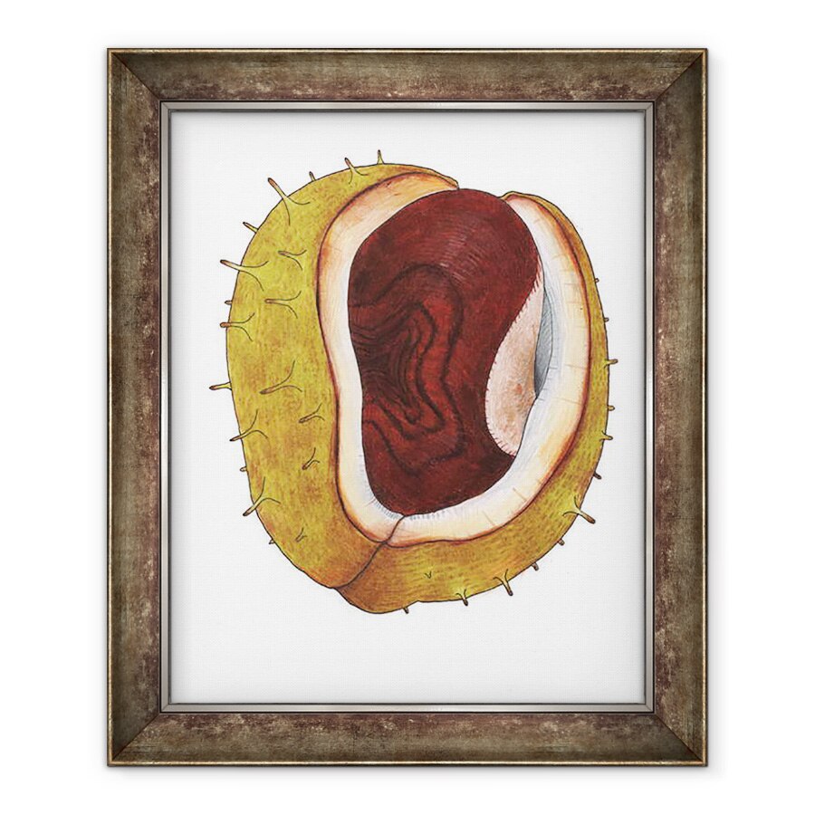 Tablou inramat - Faisal Khouja - Conker, 2013, 50 x 60 cm