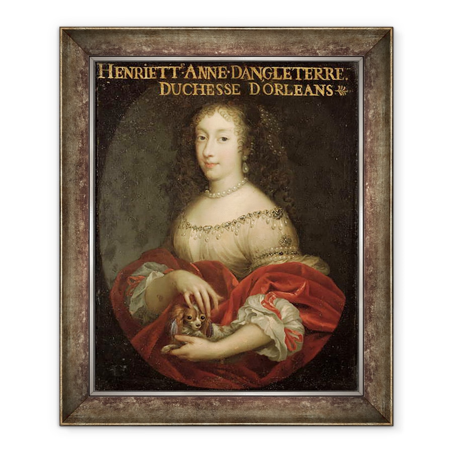 Tablou inramat - Scoala Franceza - Henrietta Anne 1644-70 Ducesa de Orleans, 90 x 110 cm