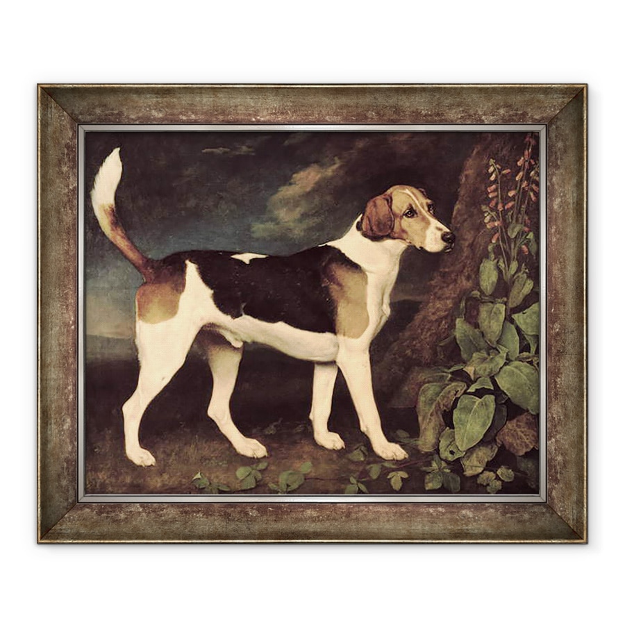 Tablou inramat - George Stubbs - Ringwood, un Brocklesby Foxhound, 90 x 110 cm