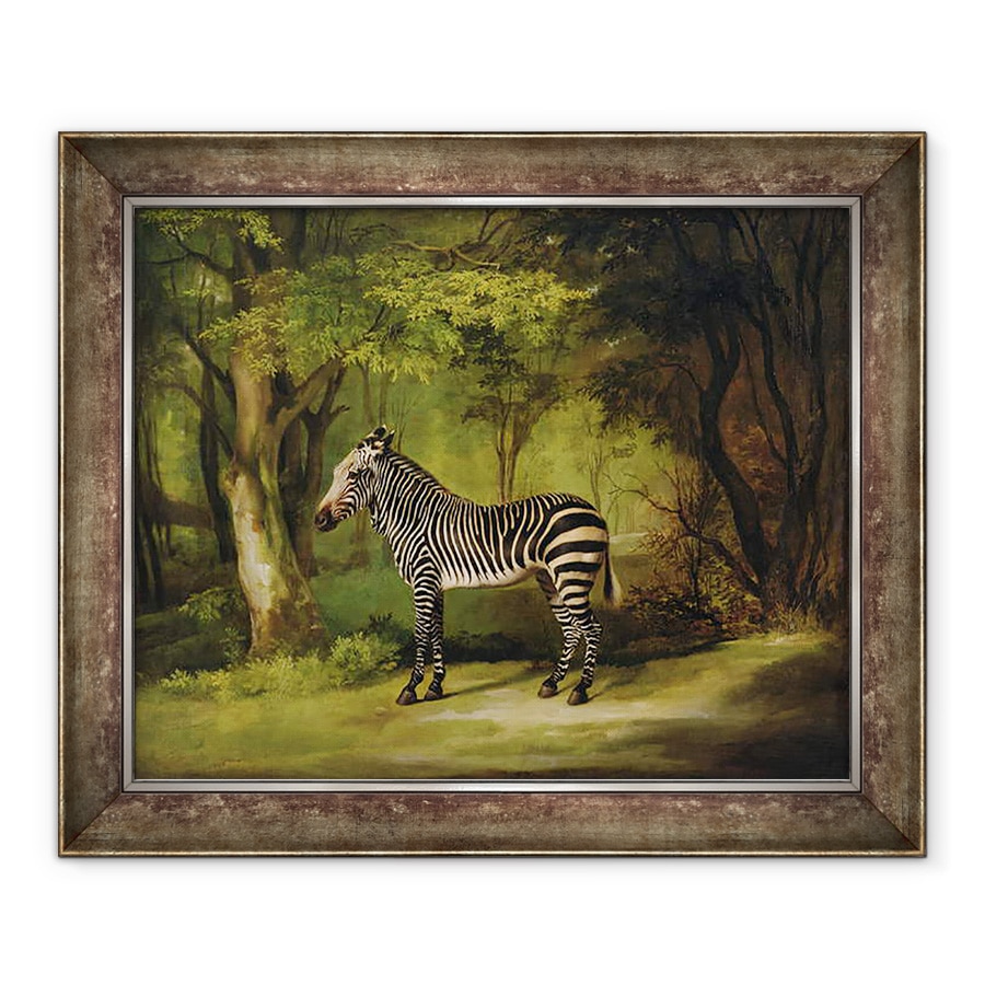 Tablou inramat - George Stubbs - O zebra, 90 x 110 cm