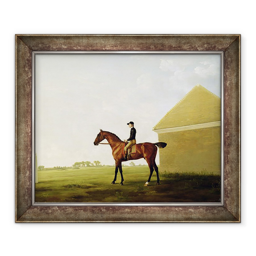 Tablou inramat - George Stubbs - Turf, 70 x 85 cm