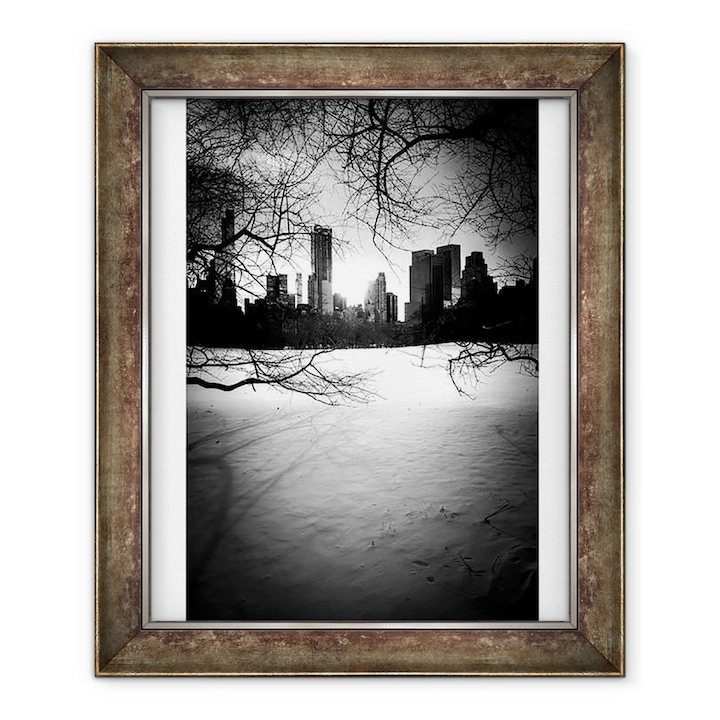 Guilherme Pontes - Central Park City és a Trees Nº1, keretezett kép, 90 x 110 cm