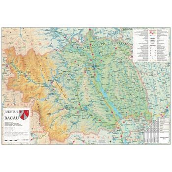 Harta Judetului Bacau 100x70 cm sipci plastic Harta Judetului Bacau 100x70 cm sipci plastic