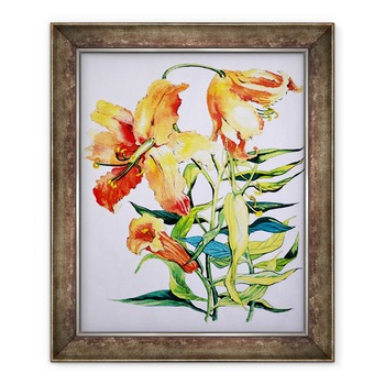 Tablou inramat - Joan Thewsey - Crini Portocaliu 1, 70 x 85 cm Tablou inramat - Joan Thewsey - Crini Portocaliu 1, 70 x 85 cm