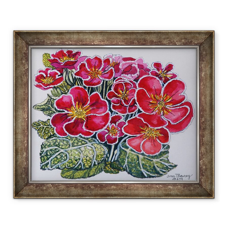 Tablou inramat - Joan Thewsey - Primula cu margini albe 2012, 70 x 85 cm