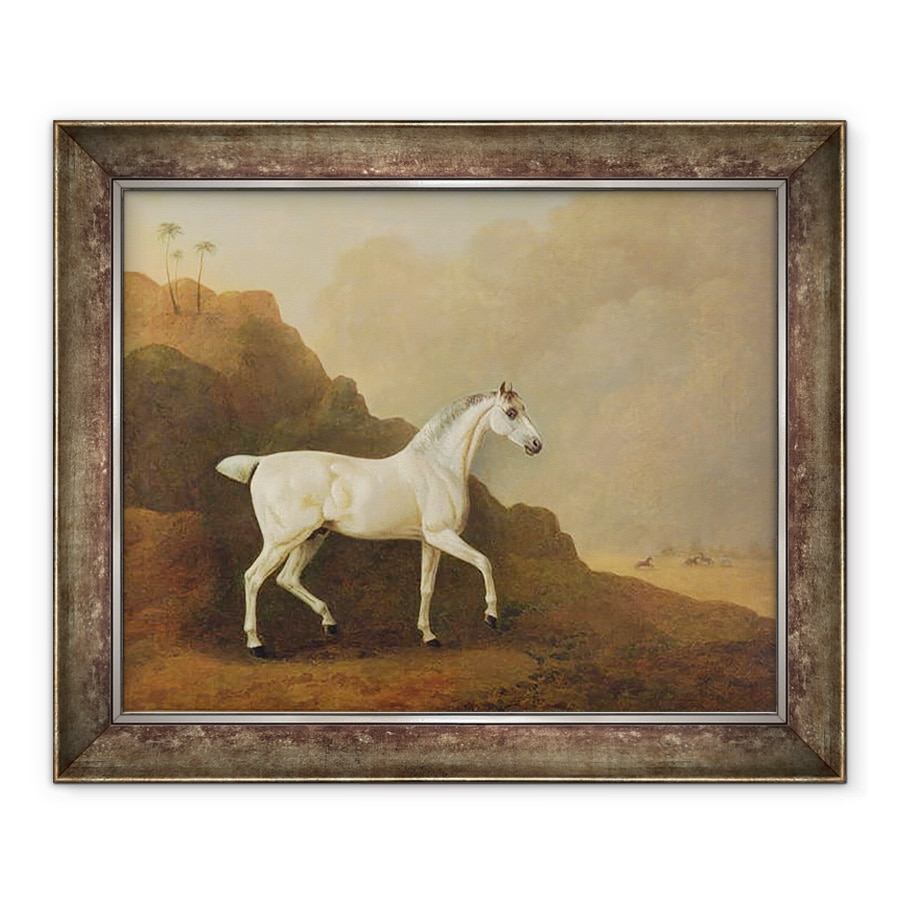 Tablou inramat - John Boultbee - Un armasar arab gri intr-un peisaj desert, 70 x 85 cm